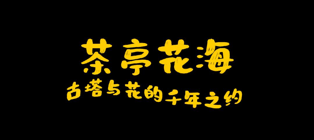 春日文案小紅書(shū)配圖